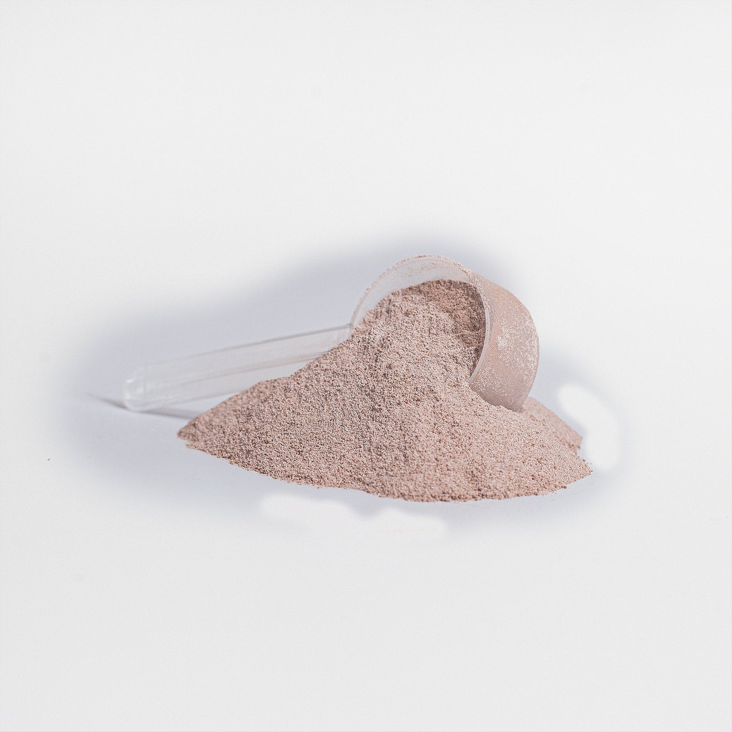 Plant Protein (Vanilla), powder with scoop