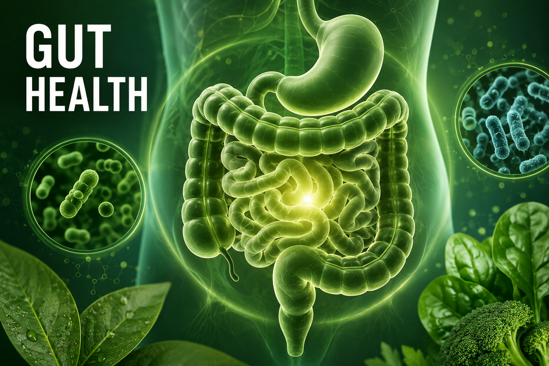 Gut Health