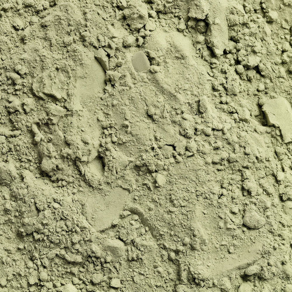 Close-up of greenish-brown soil with small rocks