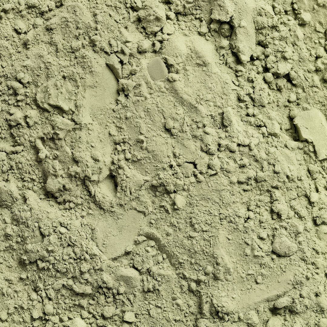 Close-up of greenish-brown soil with small rocks