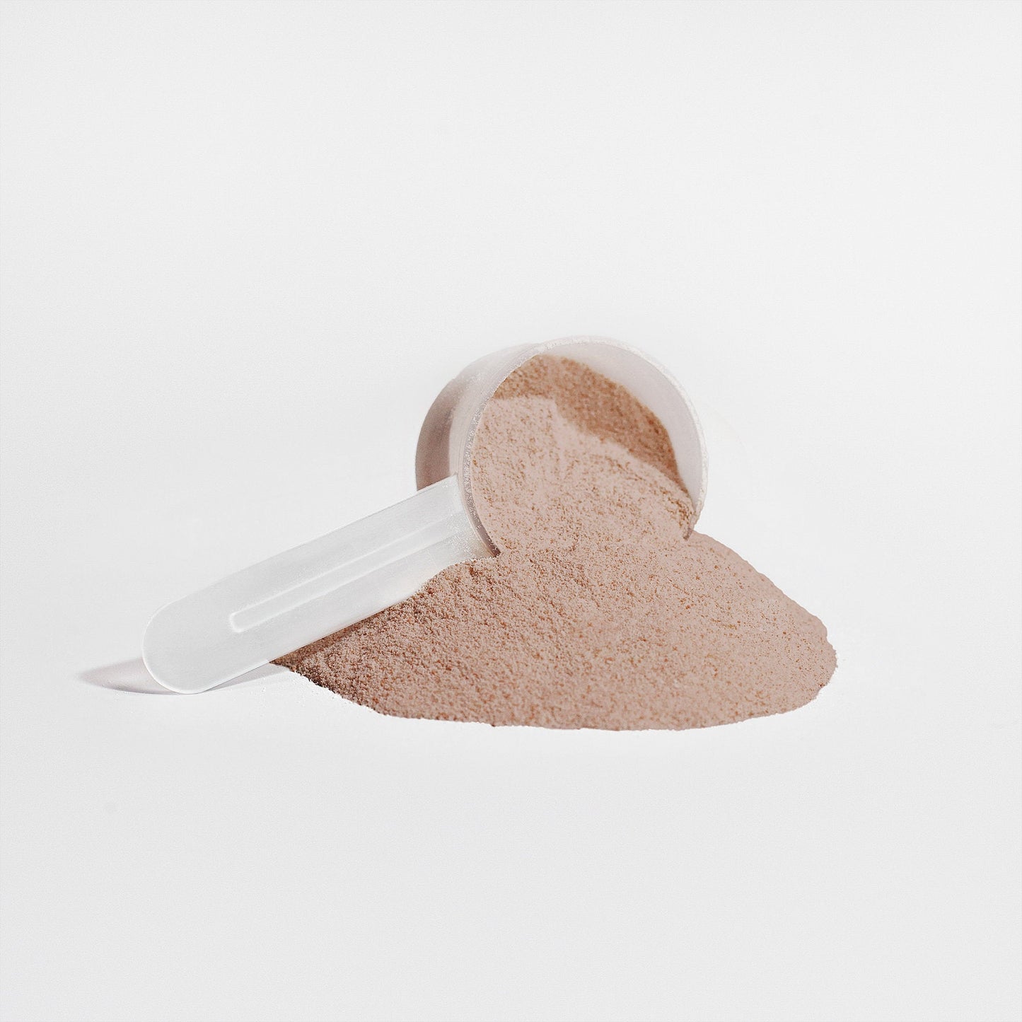 Plant Protein (Chocolate), powder with scoop