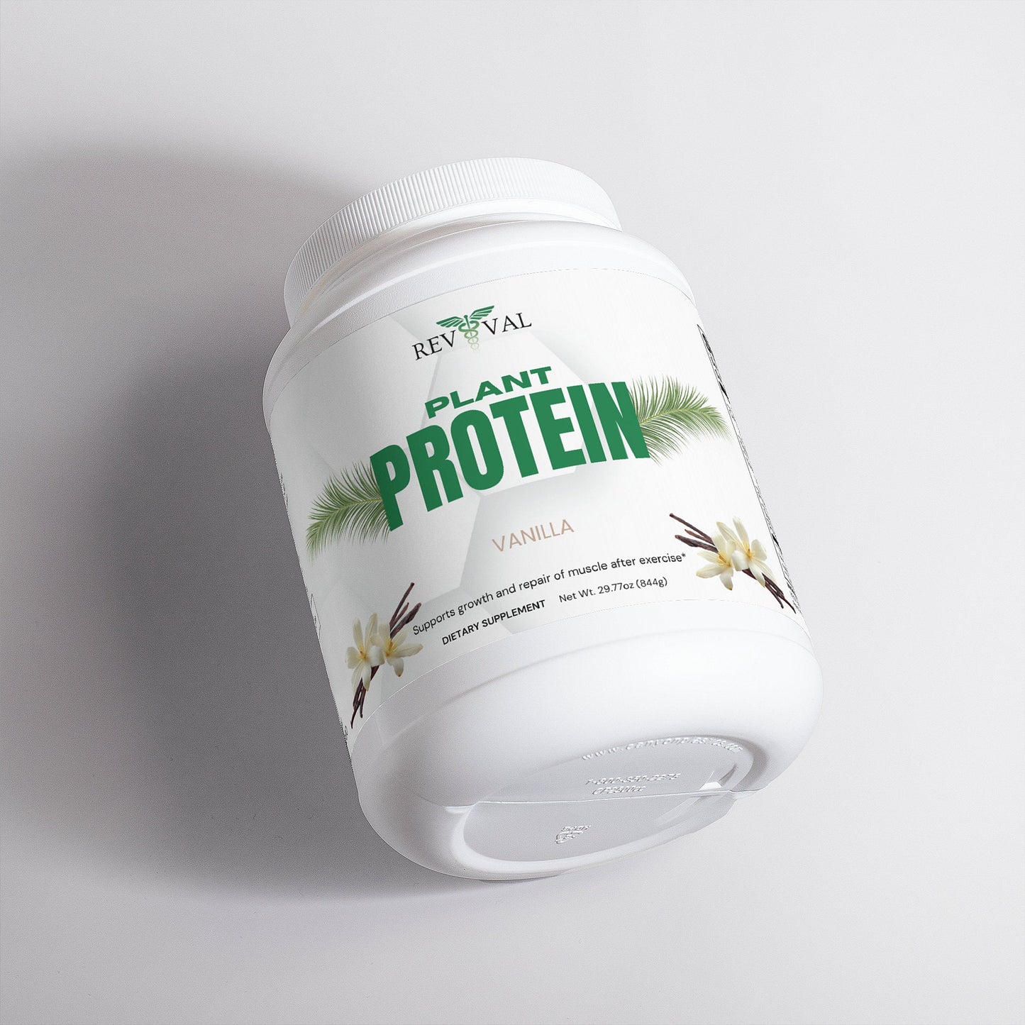 Plant Protein (Vanilla)