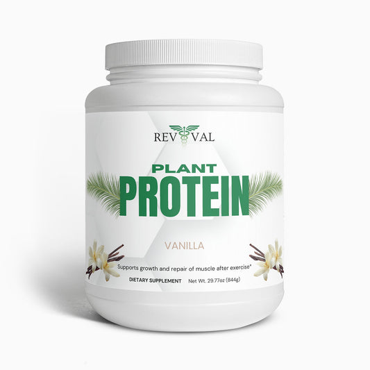 Plant Protein (Vanilla)