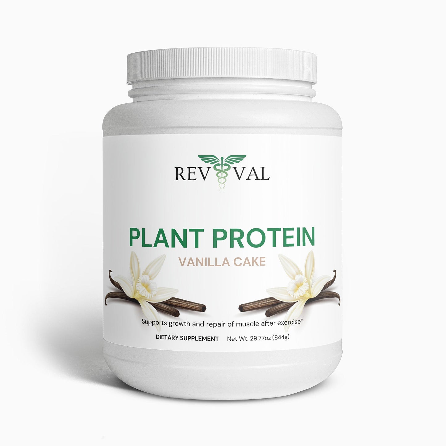 Plant Protein (Vanilla)