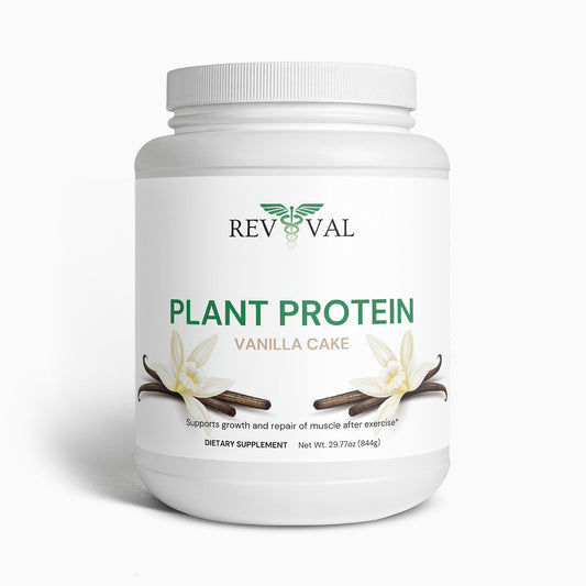 Plant Protein (Vanilla)