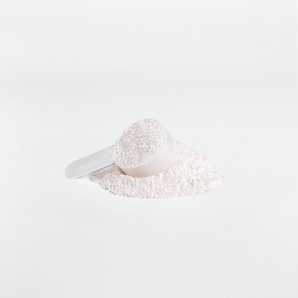 White powder in a scoop on a white background